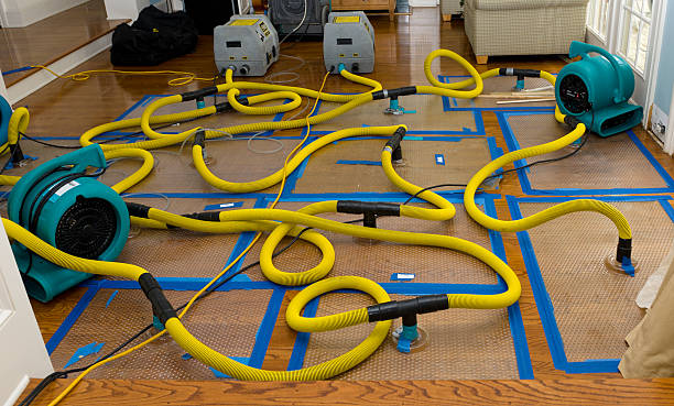 Professional Water Extraction technician working in Center Moriches, NY